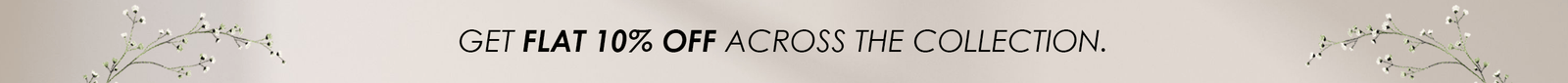 Promo Banner